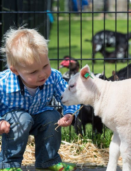 Kinderboerderij De Brink